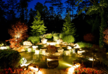 Koi Pond
