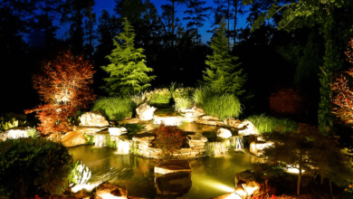 Koi Pond