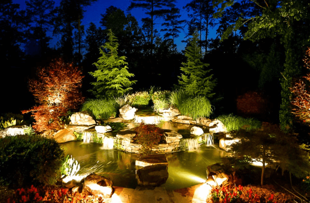 Koi Pond
