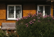 Smooth Transitions: Essential Tips for Your Home Window Replacement