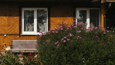 Smooth Transitions: Essential Tips for Your Home Window Replacement