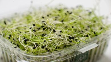 market growth data points