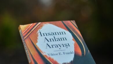 premium commercial insights report