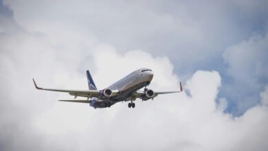 premium sector dynamics overview