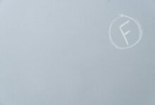 premium sector performance analysis