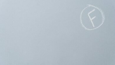 premium sector performance analysis